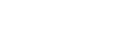 Logo Domus Services